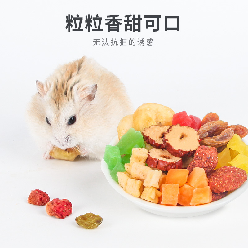 宠物零食什锦水果500ml*2仓鼠兔子龙猫荷兰猪粮食饲料用品高清大图
