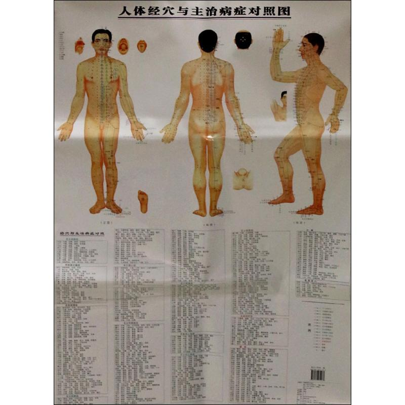 【M】人体经穴与主治病症对照图(第2版)-9787534972973
