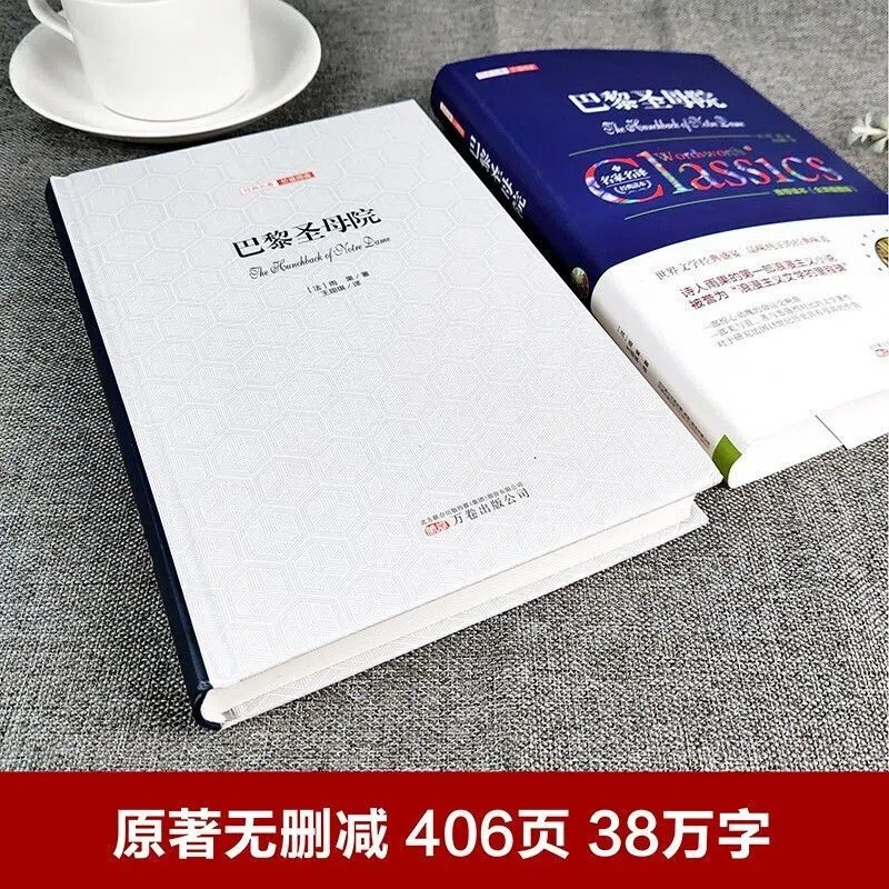 正版新书]巴黎圣母院(全译插图版)/经典名著价值阅读 [The Hu高清大图