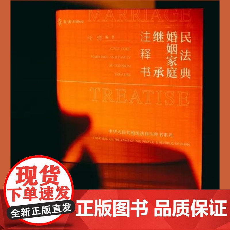 2025新书 民法典 婚姻家庭继承注释书 汪洋 编著 中国民主法制出版社 法律注释体系工具书 司法解释 参考性案例 理解高清大图