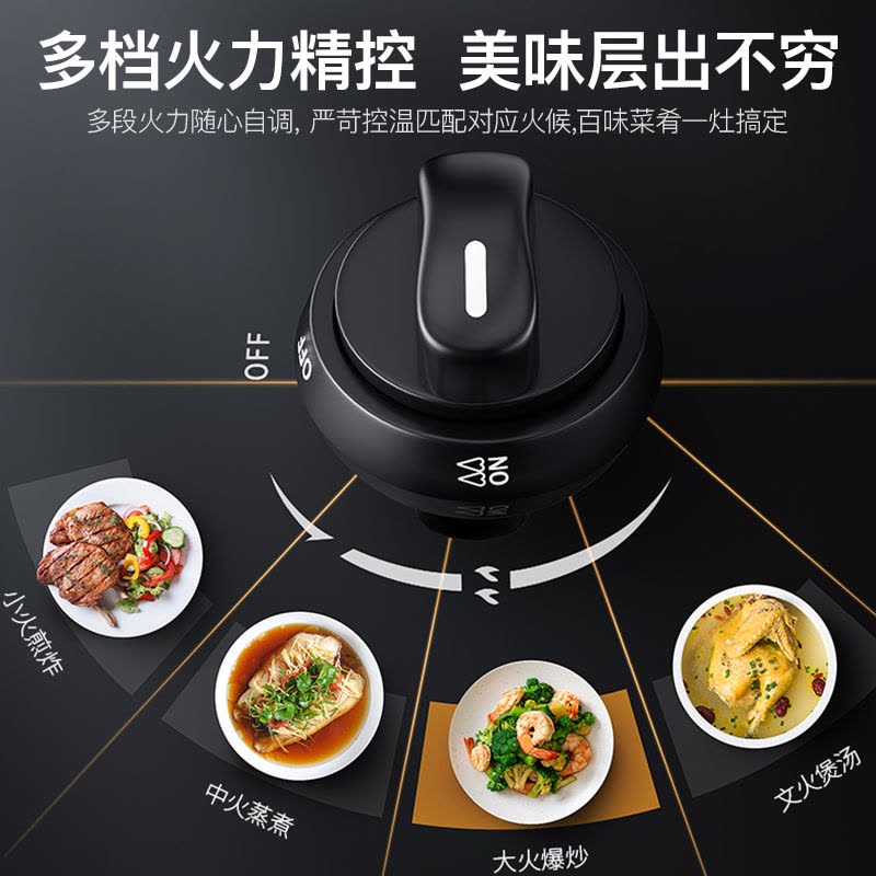 欢呼好太太双头燃气灶老式煤气灶台式双灶非嵌入式大火力猛火灶灶具台面式小型灶台煤气炉台上式液化气JZT-P202图片