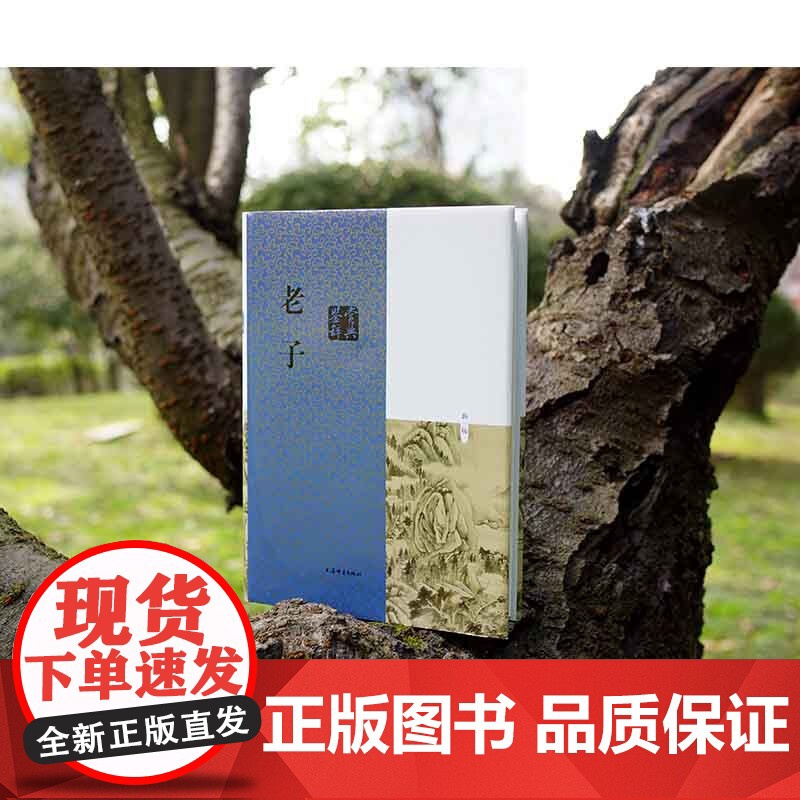 老子淮南子鉴赏辞典 古典经典系列上海辞书出版社文学名家作品高清大图