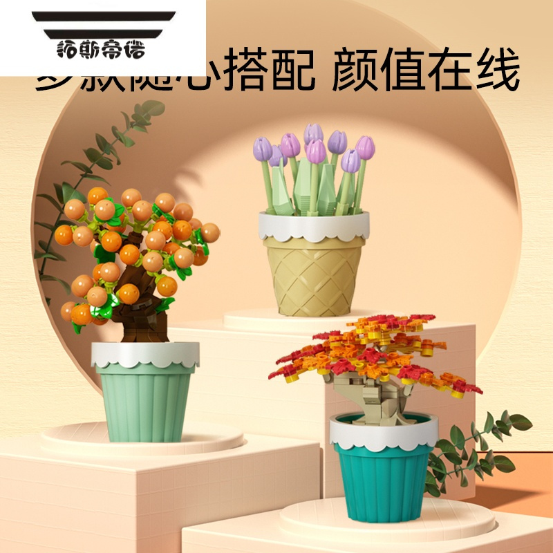 拓斯帝诺[新品]多肉盆栽摆件儿童益智拼装玩具男孩女孩礼物