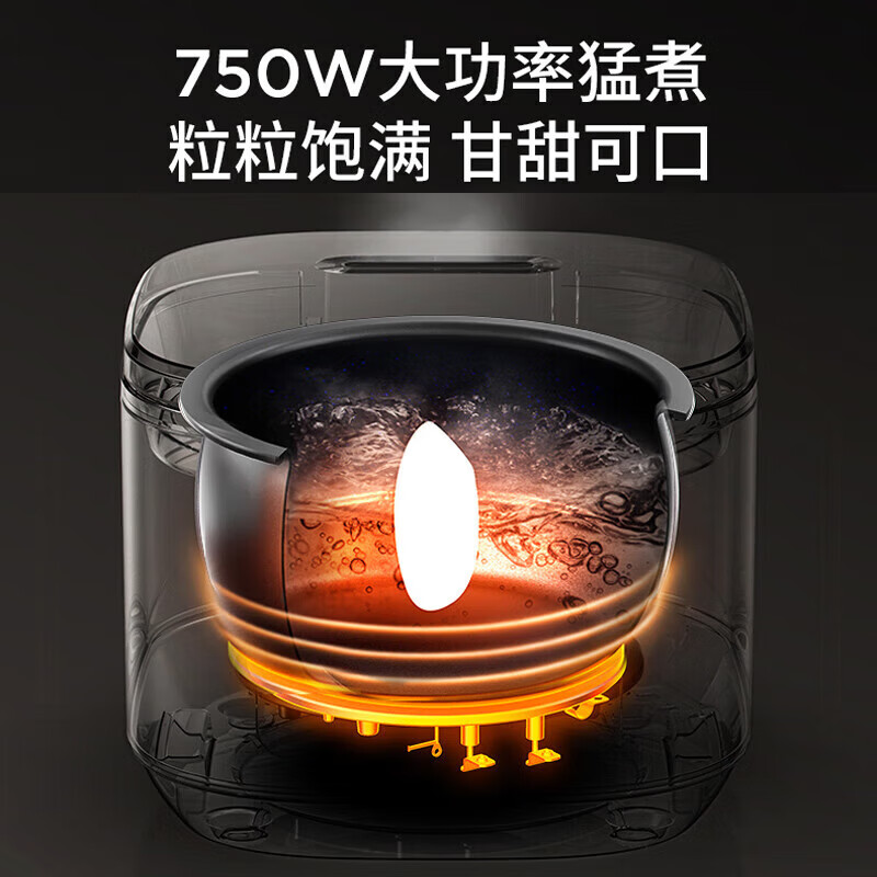 九阳电饭煲F30FY-F585高清大图