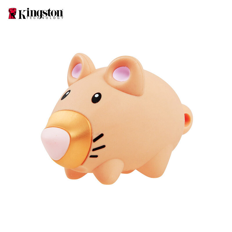 金士顿(Kingston)64GB USB3.1 U盘 DTCNY20 十二生肖之鼠年纪念版优盘 礼品U盘 新年专鼠礼物