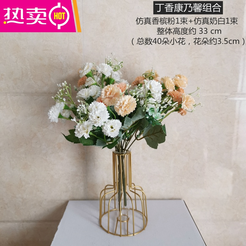 Ins北欧风创意花瓶铁艺水培架金色店铺室内花艺玻璃桌上假花摆件fenghou 康乃馨白 香槟粉小报价 参数 图片 视频 怎么样 问答 苏宁易购