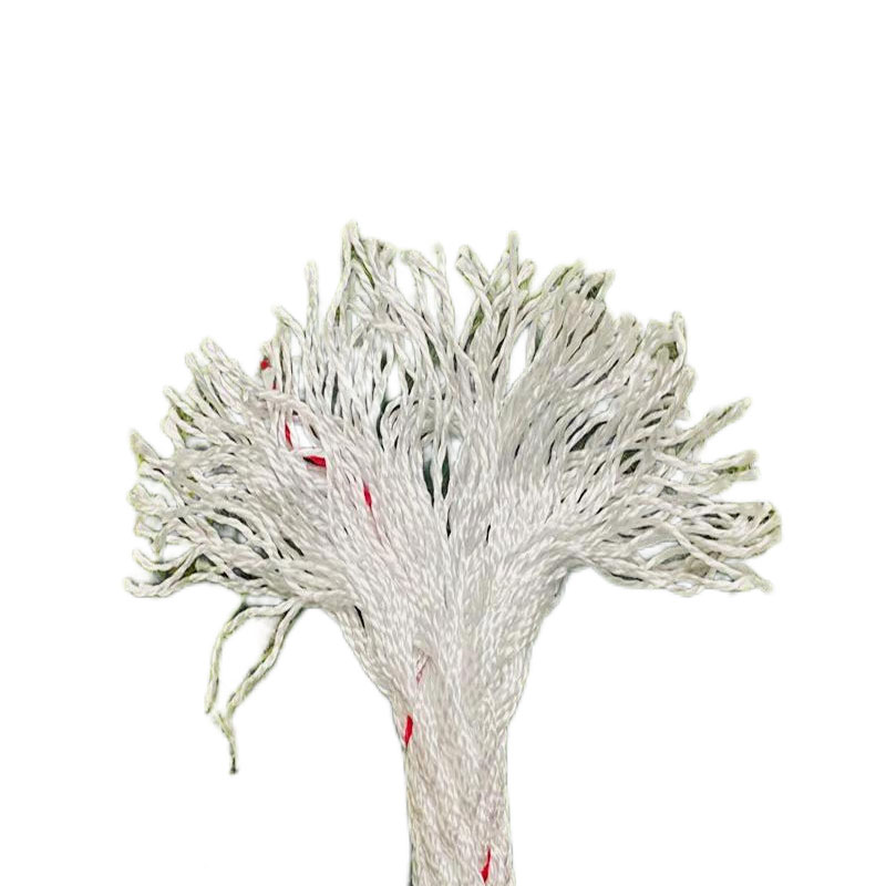 昌赞 尼龙绳 22mm 盘高清大图