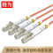胜为(shengwei)FMC-604 工程电信级光纤跳线 LC-LC多模双芯10米62.5/125低烟无卤