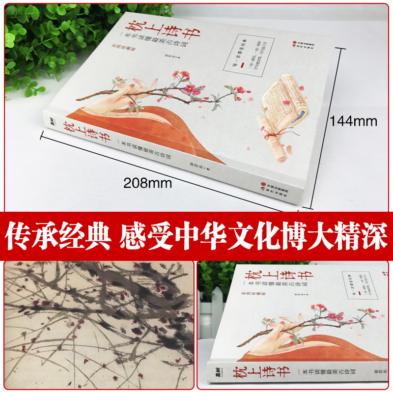 [正版]抖音同款全套4册 枕上诗书飞花令里读诗词古诗词大全中国诗词大会唐诗宋词鉴赏辞典赏析中国古代文学古诗词书籍书高清大图