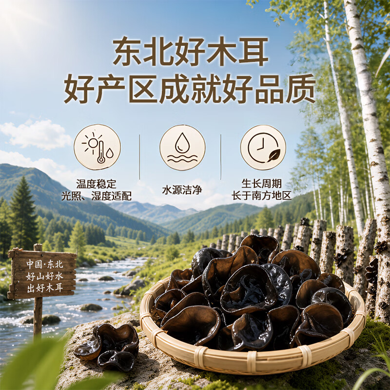 十月稻田东北黑木耳150g袋装 干木耳干货 凉拌炒菜火锅煲汤食材高清大图