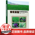 紫花苜蓿抗寒转基因研究 徐春波 王勇 编 9787511649911 中国农业科学技术出版抗
