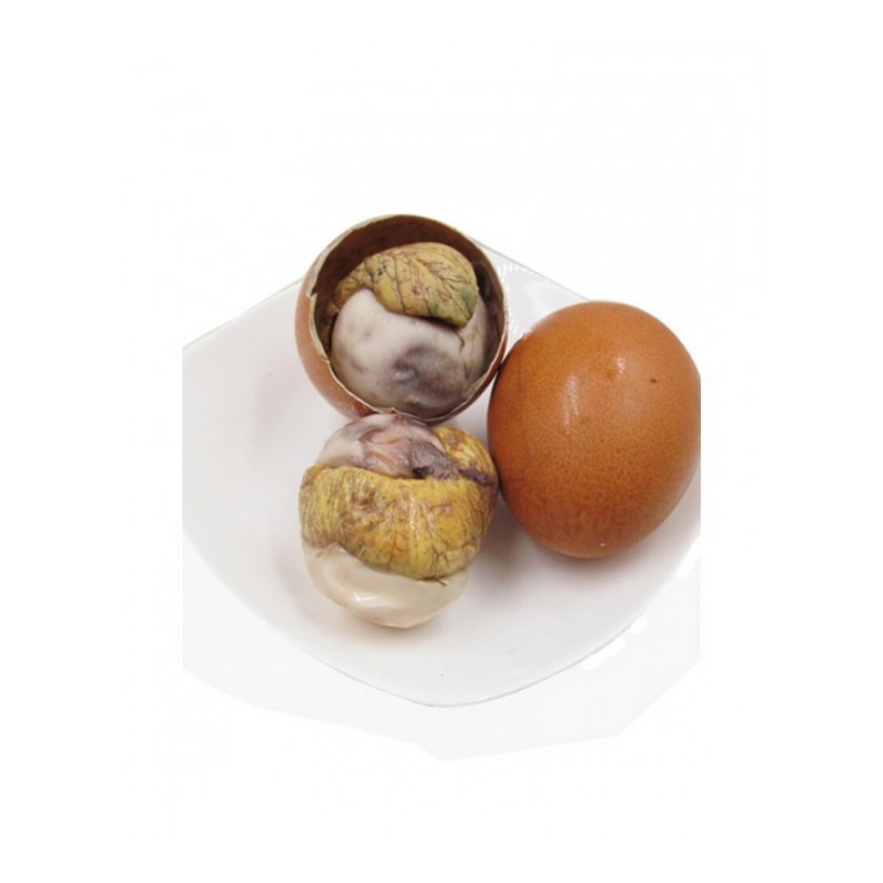 博多客 活珠子 鸡蛋胚鸡宝 13天 新鲜旺鸡蛋喜蛋 20枚 非毛鸡蛋生鲜