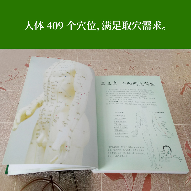 [醉染正版]超简单取穴不出错 看图能找准穴附赠常见病选穴速查表常用取穴定位大法家庭医生用书 中医养生保健经络穴位按摩大全高清大图