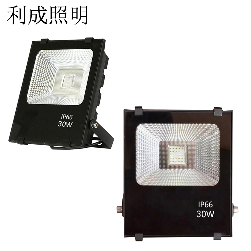 利成照明 彩色泛光灯 LC1321-30W