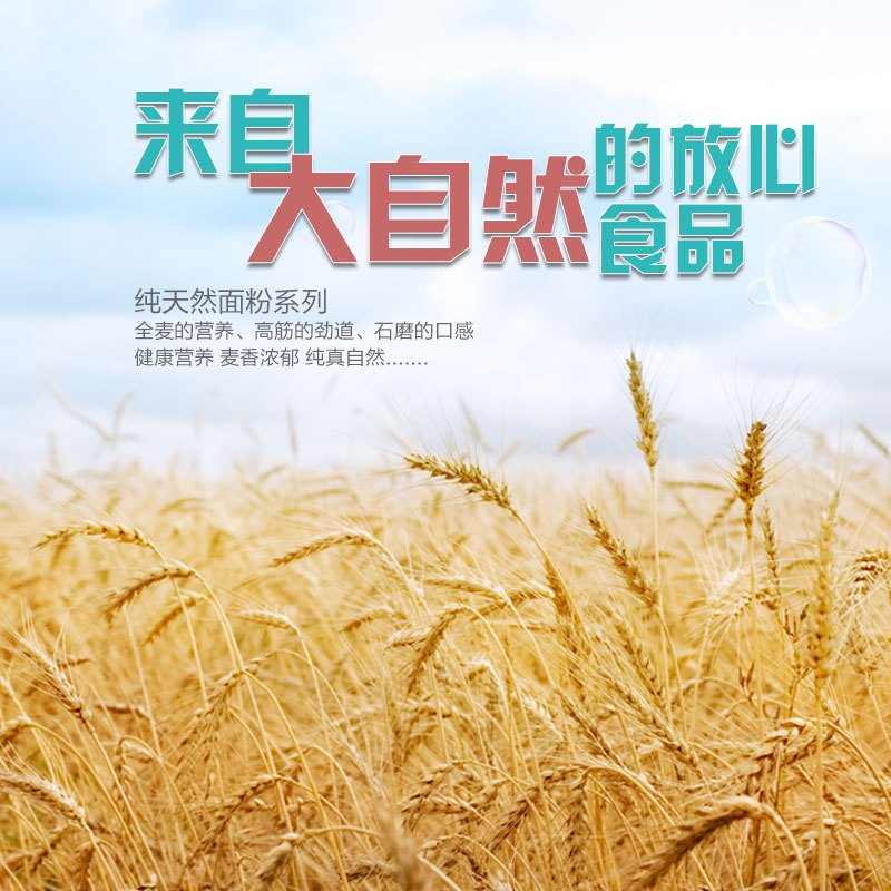 金颖(JIN YING) 正宗新鲜美味非油炸手拍鸡蛋面 袋装速食方便面条