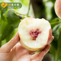 【顺丰快递】山东青州冬桃 桃子净重4.5斤 20个左右 箱装 脆甜可口 当季应季新鲜水果 诗亦生鲜