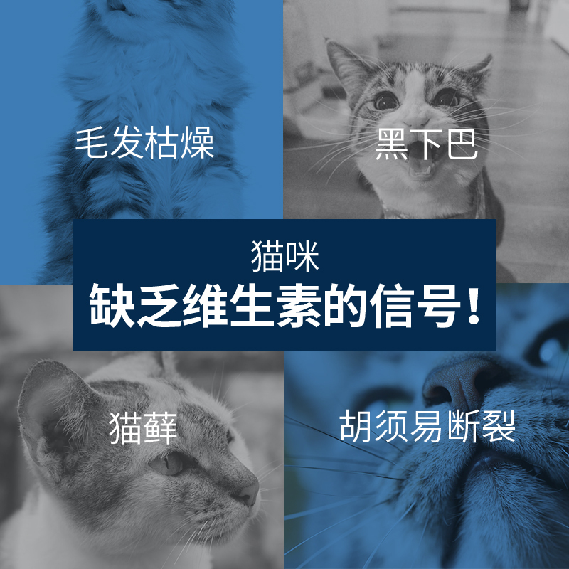 麦德氏猫用维生素营养片120片猫咪双重补充营养添加叶酸靓丽毛发