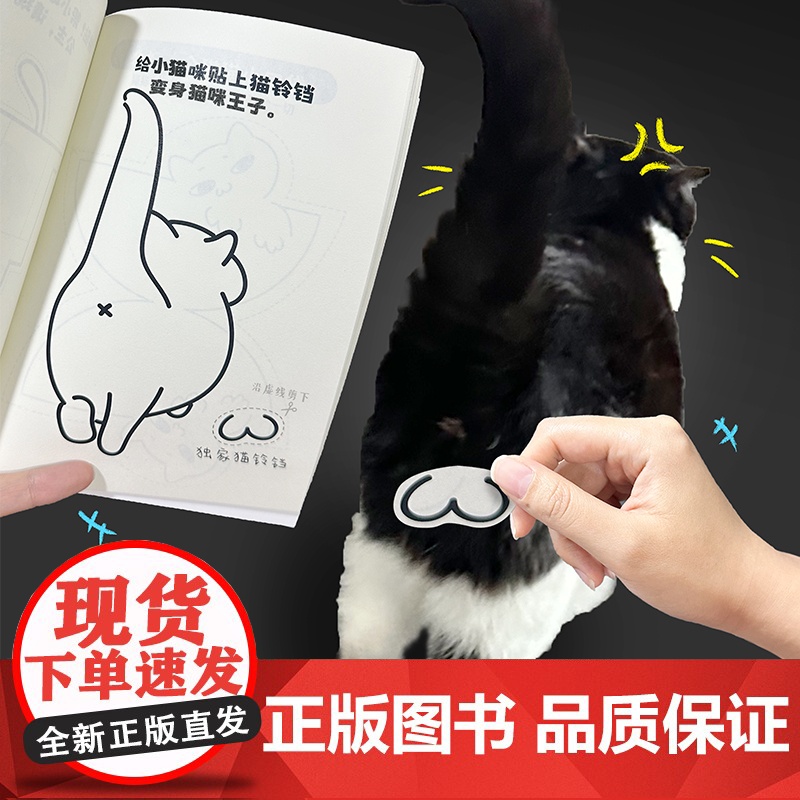 西西弗书店 玩坏这只猫趣玩类搞怪创意书籍 集合手工、生活、DIY等各种形式 100种云养猫也可以玩起来的创意玩法高清大图