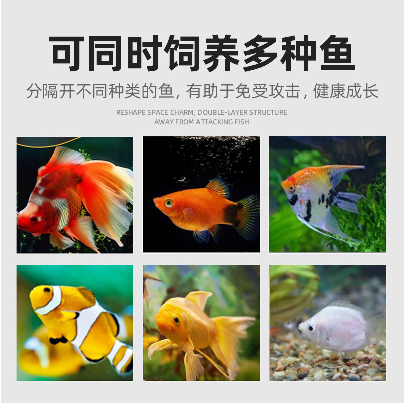 孔雀鱼繁殖盒网凤尾幼鱼苗孵化器斑马热带母鱼生小鱼缸产房隔离箱高清大图
