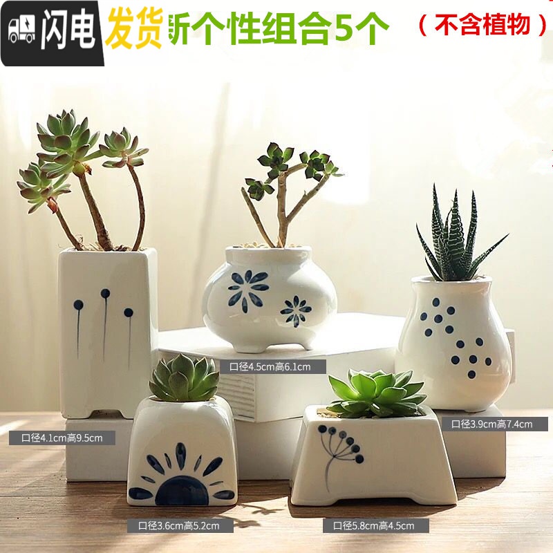 三维工匠韩式多肉花盆陶瓷大号大口径肉肉植物粗陶透气创意小花盆 SY手绘老庄3个 小花盆容器高清大图