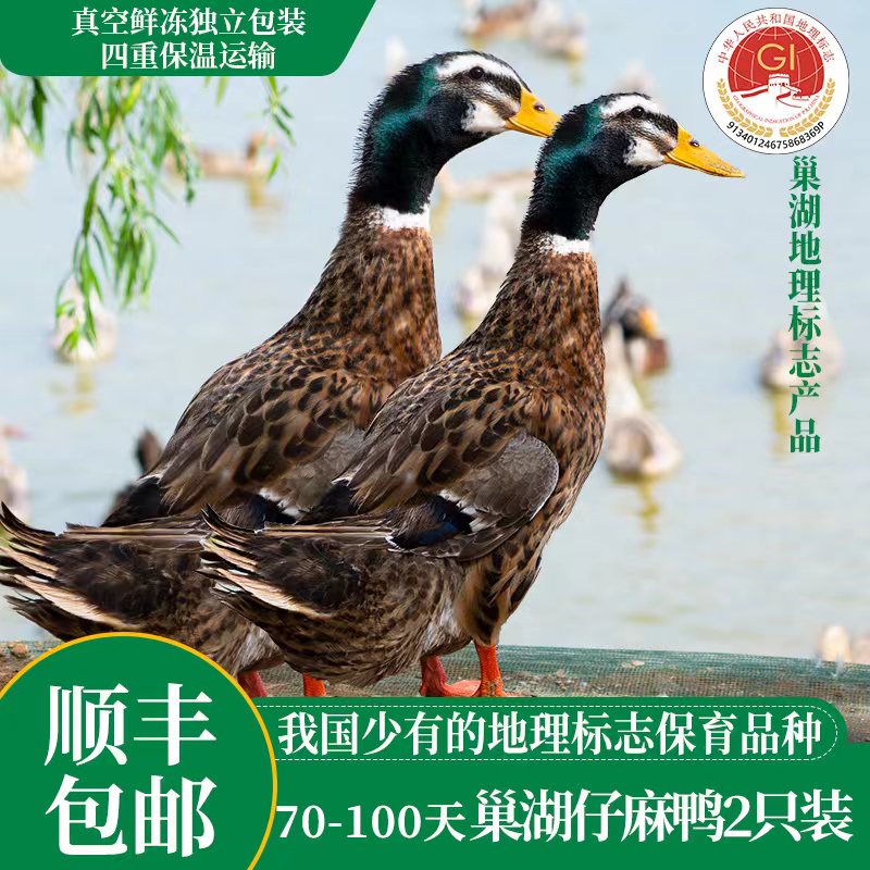 蛋鲜森巢湖正宗散养仔麻鸭2只4斤装 红烧专用新鲜宰杀急冻保鲜整鸭净膛