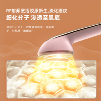 莱米射频美肤仪LM-1991 单个价