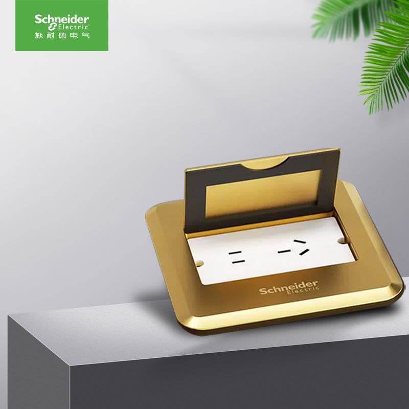 施耐德电气 地插 弹出阻尼式地面插座 五孔插座 全铜质防水阻尼式 电脑五孔地插 隐藏式地板地面插座 电话网络 铜质 阻尼图片