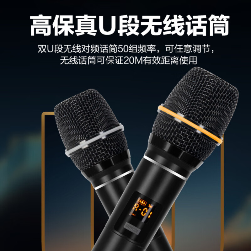 惠度(HuiDu)NB-500L专业电吹管演唱音箱双数字直播录音三分频挎包式带双麦电视伴侣音箱
