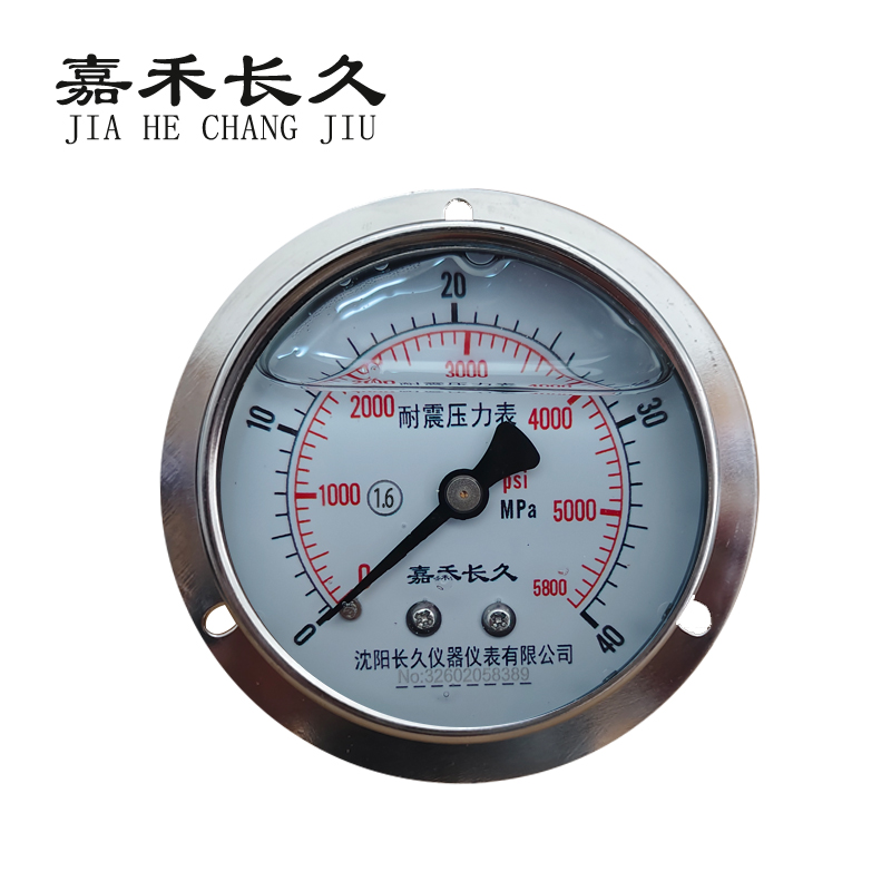 嘉禾长久 耐震压力表轴向带边检测型 YTN100ZT 块 0-40Mpa