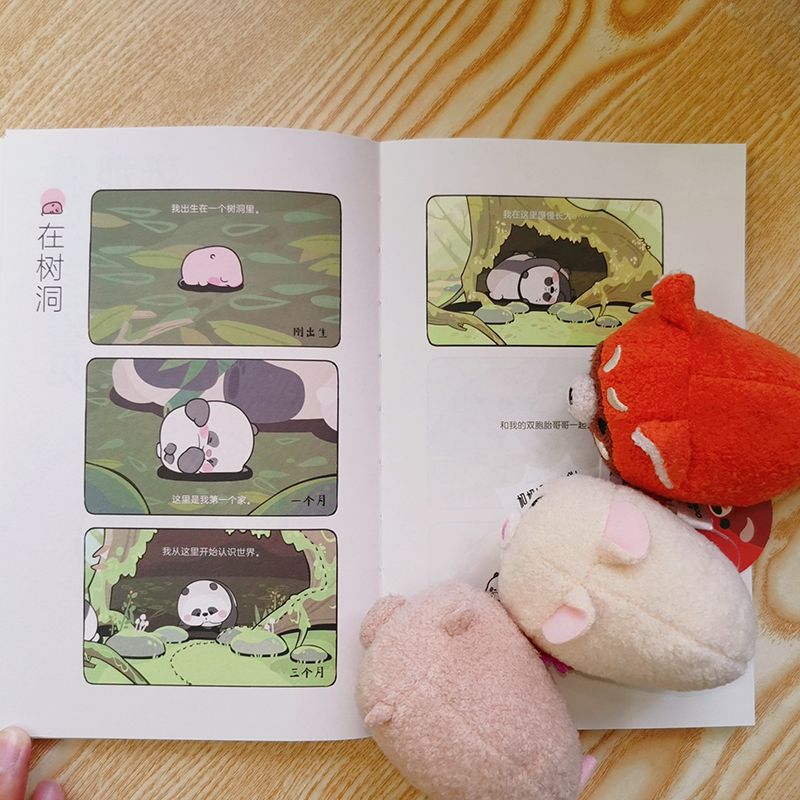 [正版] 每天都想见到你 BAMBOOMATES著 原漫《竹鼠和竹熊》漫画书籍文学 暖萌治愈系可爱国宝大熊猫胖达绘本高清大图