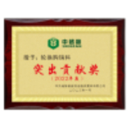 中锐智采 奖牌 突出贡献奖