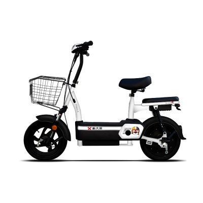 派乐/PALLA K6 电动车 3C新国标48V20ah大容量电瓶车代步车电动自行车 K6钻白