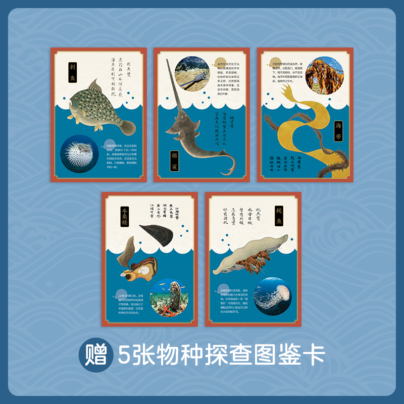 海错图笔记·青少版2
