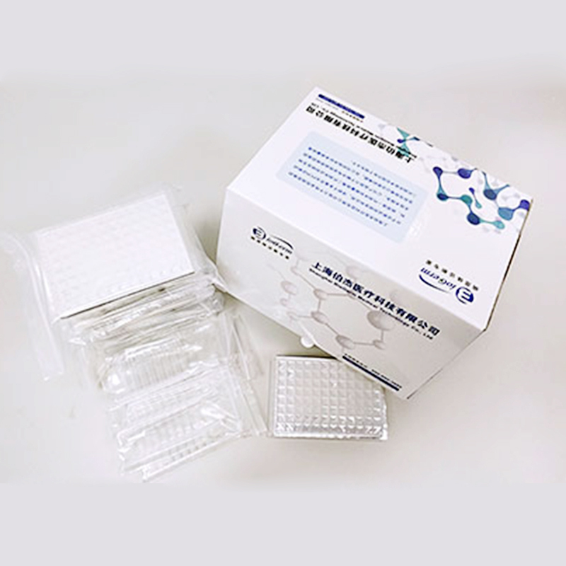 Brood Health 新型冠状病毒(2019-nCoV)核酸检测试剂盒 伯杰 (单位:96T/盒)