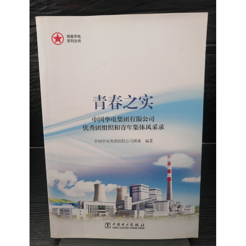 正版新书]青春之实专著中国华电集团有限公司优秀团组织和青年集高清大图