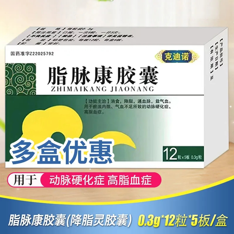 汝立康脂脉康胶囊03克60片盒