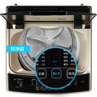 美的(Midea)MB80V50DQCG 8公斤全自动快净波轮洗脱一体洗衣机 免清洗 强压双水流 直驱变频家用金色