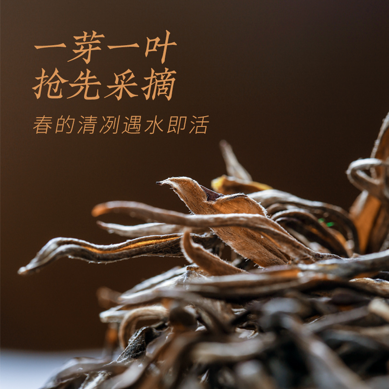 合和昌 2019新品清晓 一芽一叶古树生茶云南普洱散装茶叶实惠100g(单位:盒)