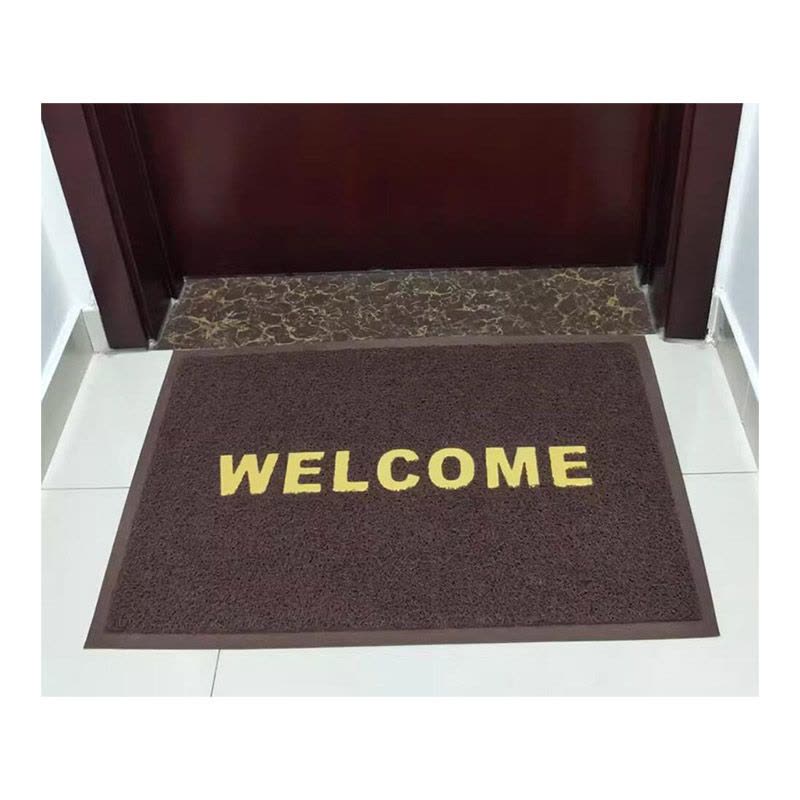 漂牌英文咖色加厚60*90cm耐磨进门防滑垫脚垫PVC丝圈地垫出口门垫图片