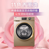 海尔(Haier) 10公斤滚筒洗衣机全自动变频节能大容量 新款巴氏杀菌G100108B12G