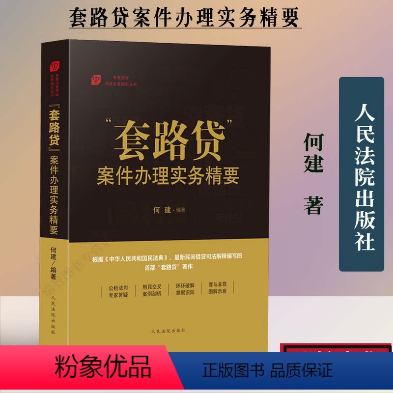 [正版] 套路贷案件办理实务精要 何建 根据新民法典民间借贷司法解释编 民事纠纷民间借贷房屋买卖案例分析 刑事犯罪法律