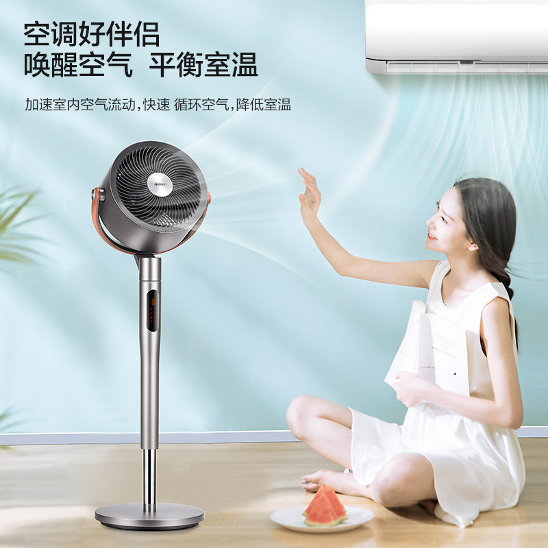 格力(GREE)空气循环扇家用摇头电扇涡轮换气扇循环对流低噪直流变频遥控风扇落地扇FXDZ-2305Bag5