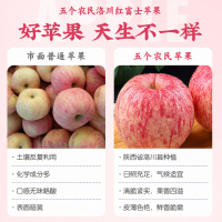 [五个农民]Super专享22年新果 陕西洛川苹果红富士礼盒12枚/5斤 单果80-85mm/200g+ 顺丰速运