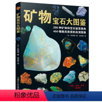 【正版】矿物宝石大图鉴 200种矿物宝石鉴赏图典 百科全书中国少年儿童百科全书大百科少儿3-6-10岁图书漫画书中石全