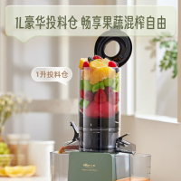 小熊(Bear)原汁机 家用榨汁机渣汁分离 全自动多功能电动冷压榨果蔬机 大口径NFC果汁机 YZJ-D01Y6