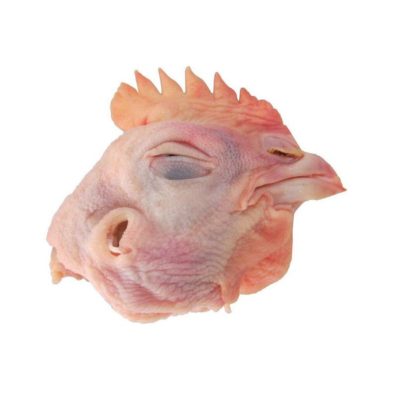 新鲜鸡头 烧烤鸡头 大鸡头 顺丰 大自然凤头生鸡冠带凤头 4kg