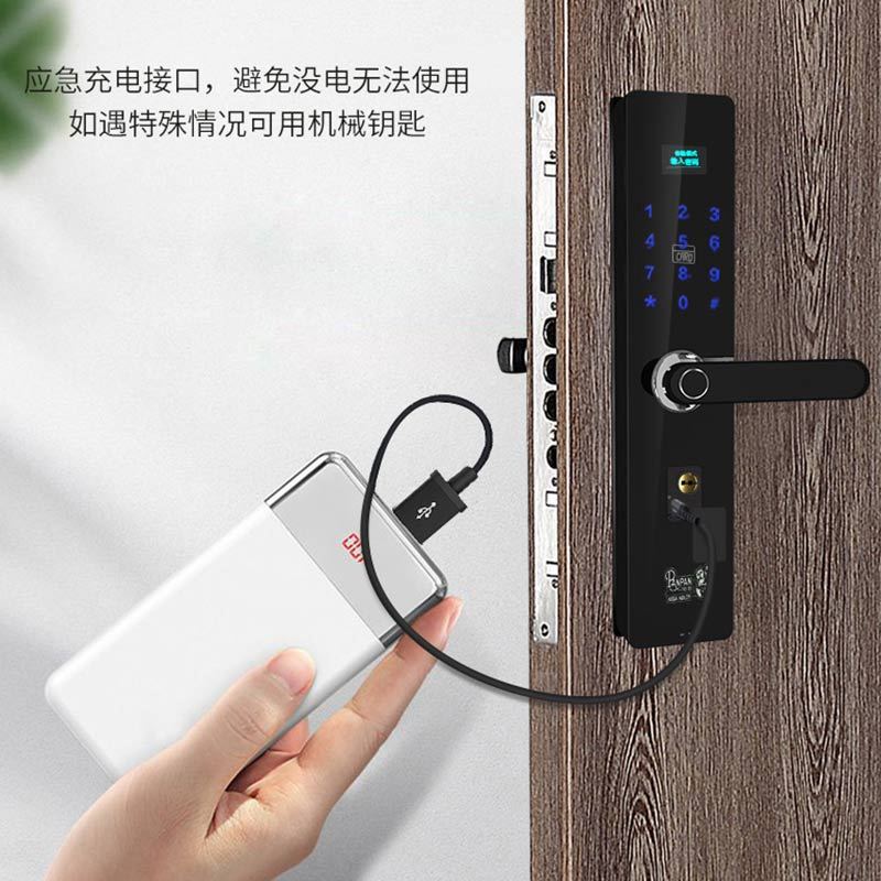 盼盼(PAN PAN)盼盼防盗门家用B07指纹锁智能密码锁智能安全锁通用电子防盗门锁家用大门锁多功能五合一