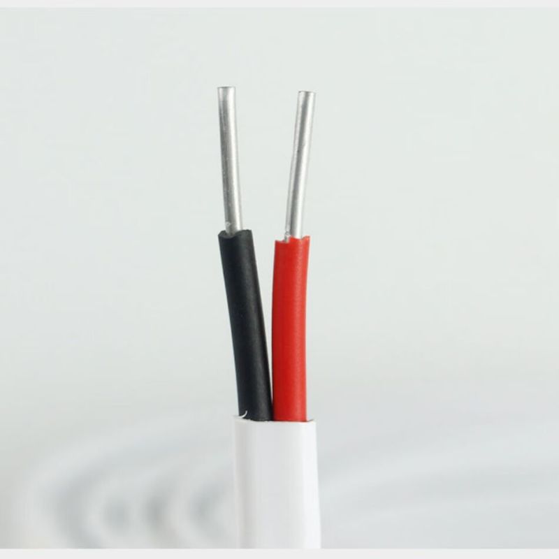 前列 聚氯乙烯铝芯平行护套线 BLVVB 2x6mm2 100米卷