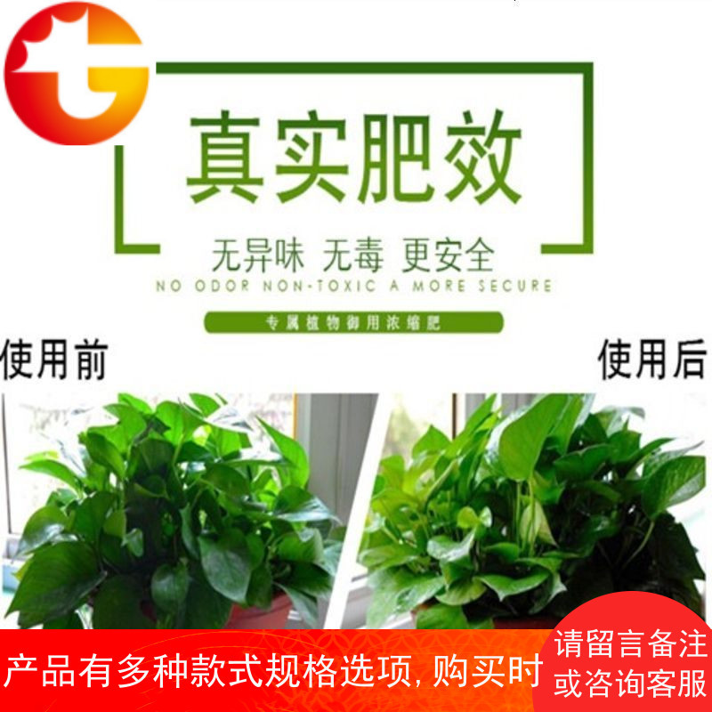 绿化植物通用型营养液多肉花草肥料室内养花富贵竹绿箩绿叶 邮