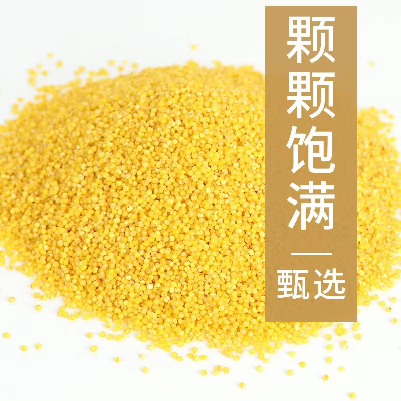 [2斤真空]鹤来香黄小米500g*2小米新米农家小黄米五谷杂粮粗粮小米粥真空装酥田推荐月子米高清大图